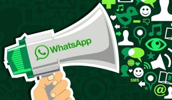 Come risultare anonimi su Whatsapp