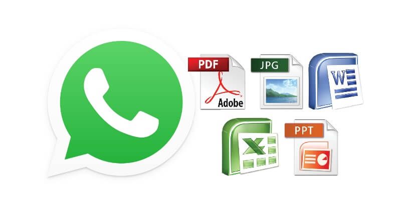 Come inviare i file in qualsiasi formato su Whatsapp